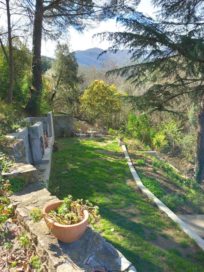 Maison Do Mi Sol Reynès المظهر الخارجي الصورة